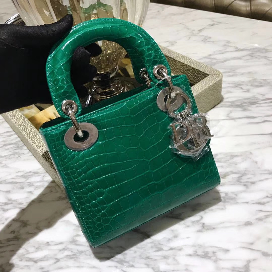 Dior 迪奥 鳄鱼皮钻石扣 欢迎定制 出货实拍 小号