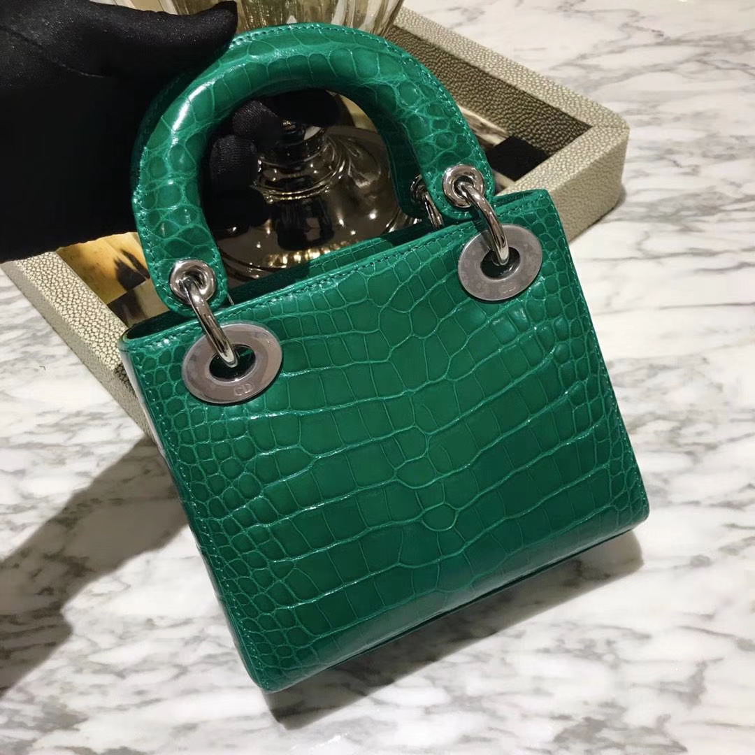 Dior 迪奥 鳄鱼皮钻石扣 欢迎定制 出货实拍 小号