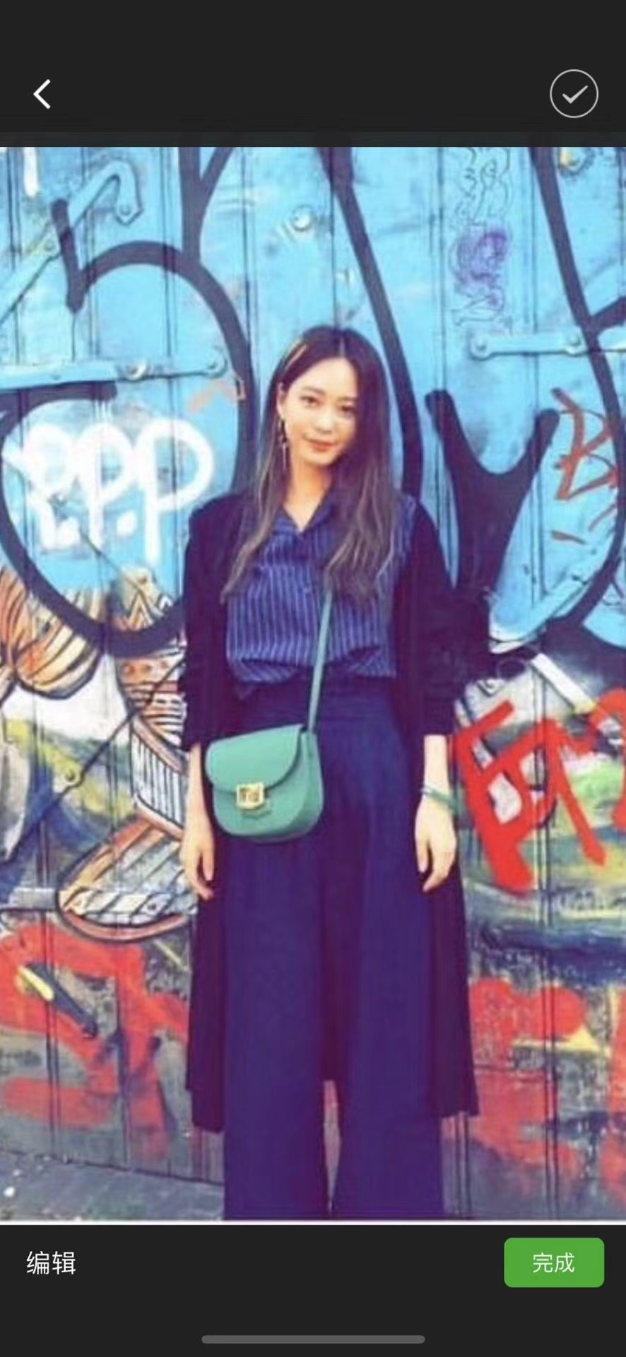 Celine 思琳 五角包 23cm 竹子绿 仙人掌绿 原厂掌纹皮