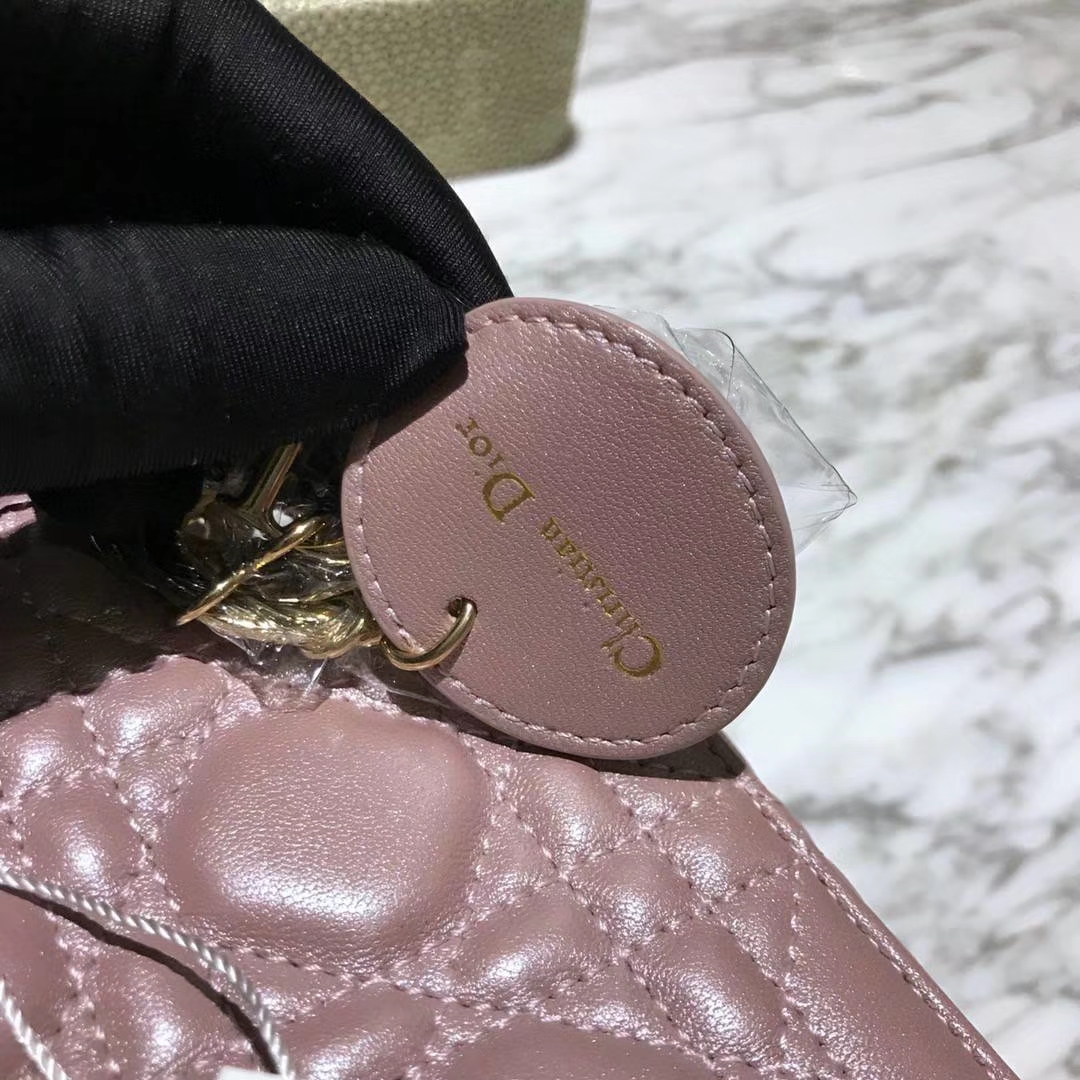 全新Dior  三格羊皮珠光粉  新出货  实物比图片偏亚一点   质感会更好