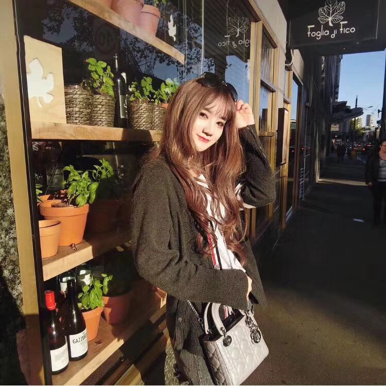 Dior 迪奥 小号 羊皮 灰色 金扣 三格戴妃包