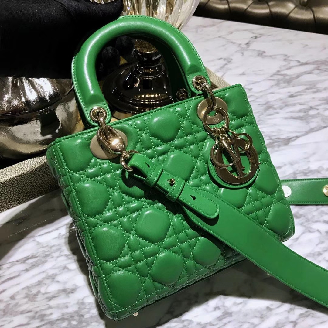 Dior 迪奥 仙人掌绿 气质绿色 进口原厂羊皮 双色效果 亚里透亮 亮里带亚
