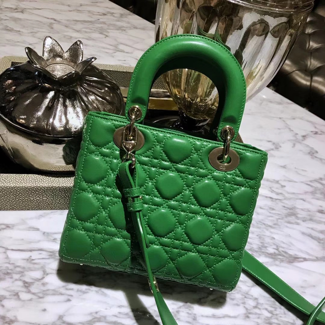 Dior 迪奥 仙人掌绿 气质绿色 进口原厂羊皮 双色效果 亚里透亮 亮里带亚