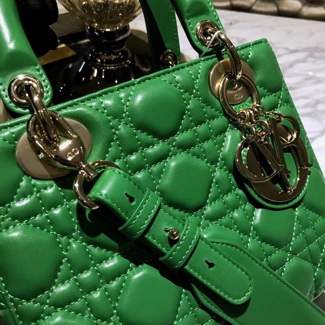 Dior 迪奥 仙人掌绿 气质绿色 进口原厂羊皮 双色效果 亚里透亮 亮里带亚