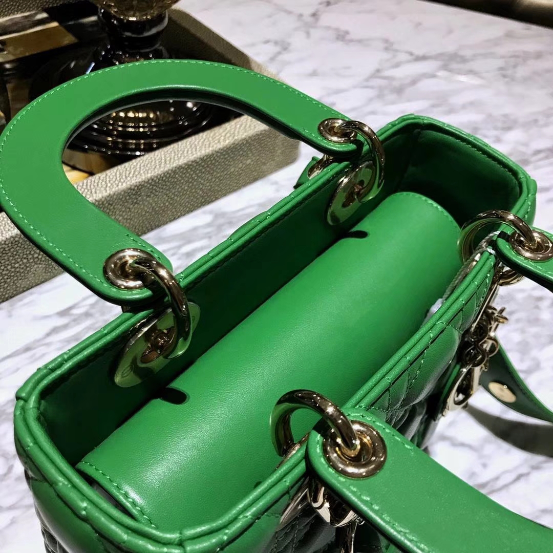Dior 迪奥 仙人掌绿 气质绿色 进口原厂羊皮 双色效果 亚里透亮 亮里带亚
