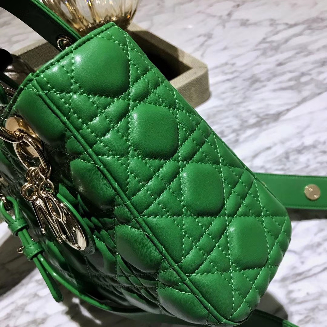 Dior 迪奥 仙人掌绿 气质绿色 进口原厂羊皮 双色效果 亚里透亮 亮里带亚