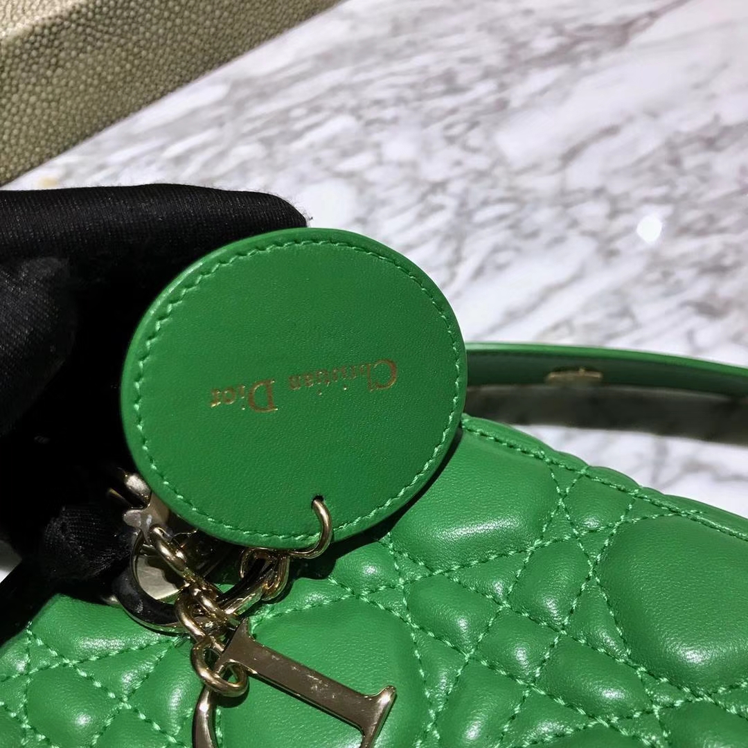 Dior 迪奥 仙人掌绿 气质绿色 进口原厂羊皮 双色效果 亚里透亮 亮里带亚