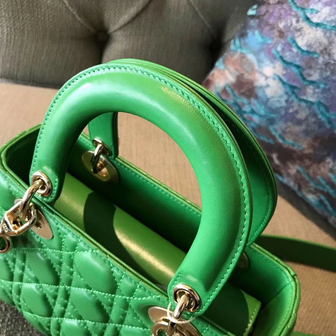 Dior 迪奥 仙人掌绿 气质绿色 进口原厂羊皮 双色效果 亚里透亮 亮里带亚