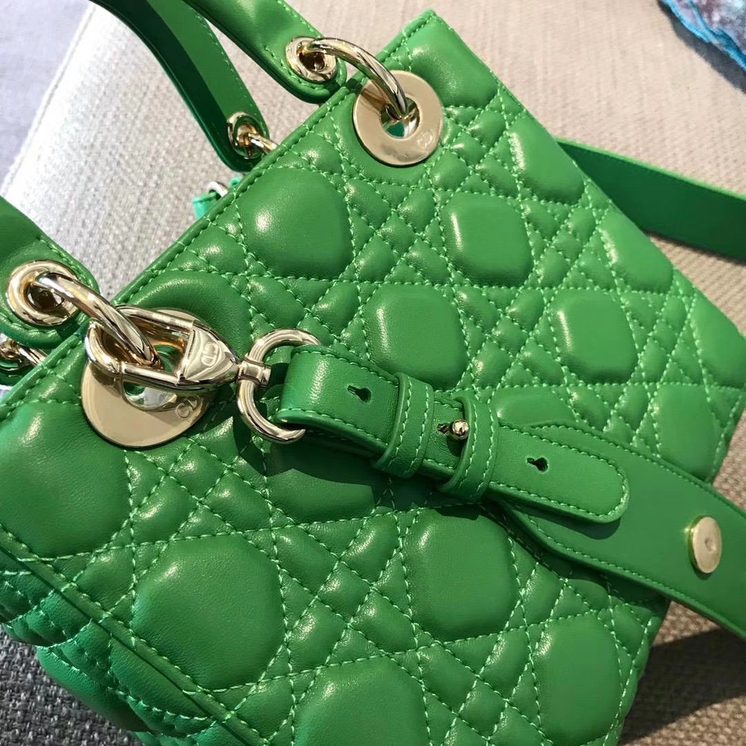 Dior 迪奥 仙人掌绿 气质绿色 进口原厂羊皮 双色效果 亚里透亮 亮里带亚