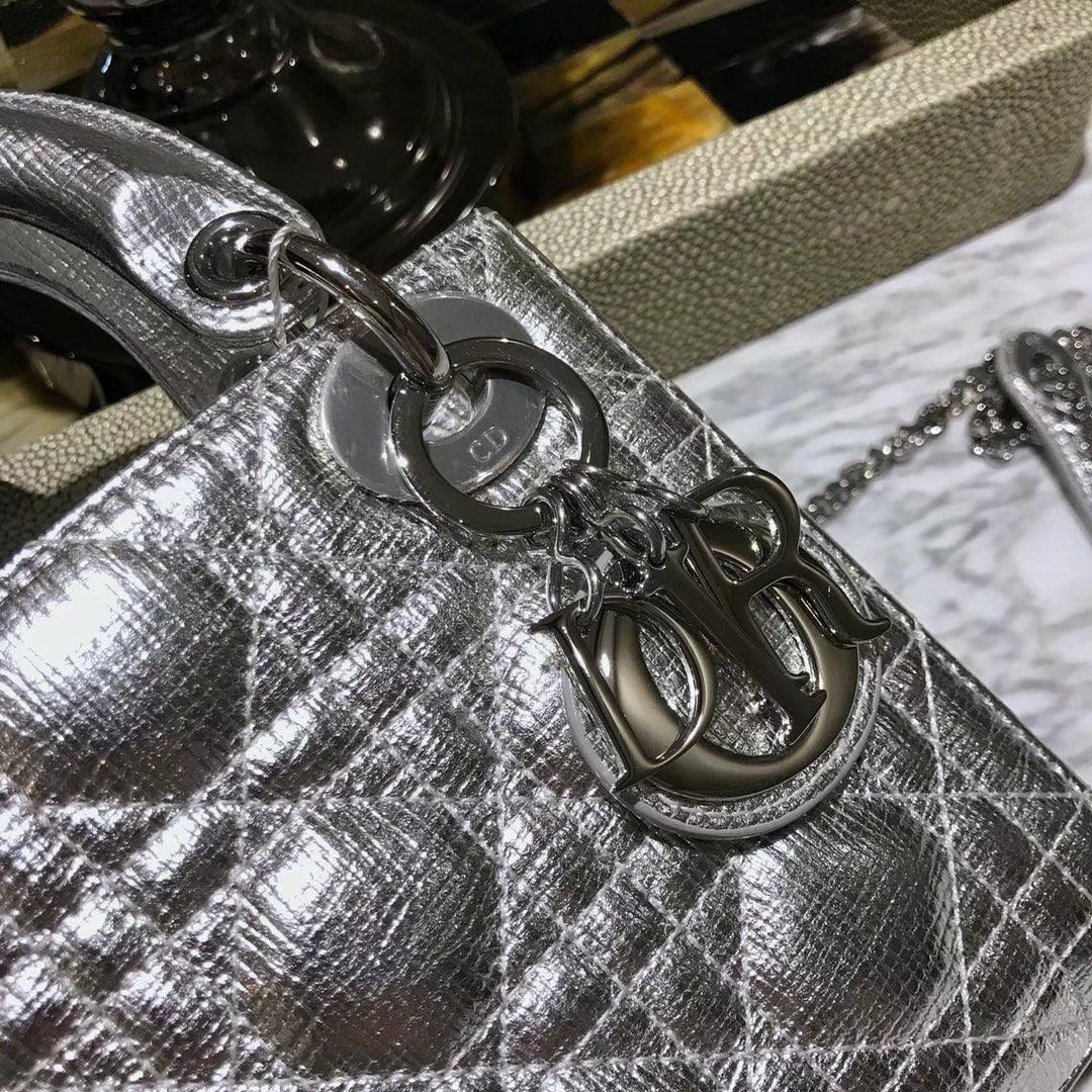 Dior 迪奥 来自意大利原厂皮料 牛皮大象纹 金属银 实物绝对美到爆  银扣