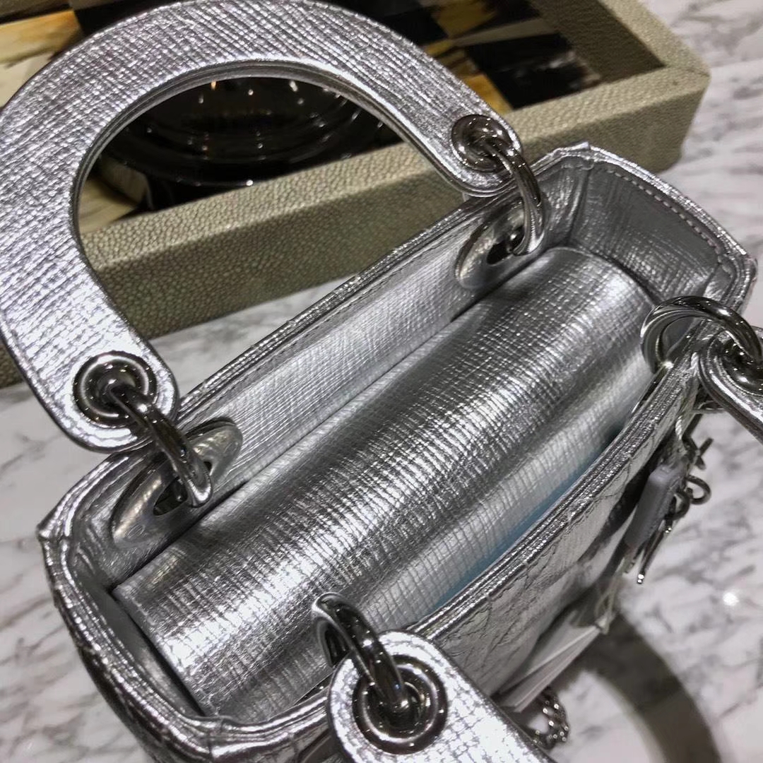 Dior 迪奥 来自意大利原厂皮料 牛皮大象纹 金属银 实物绝对美到爆  银扣