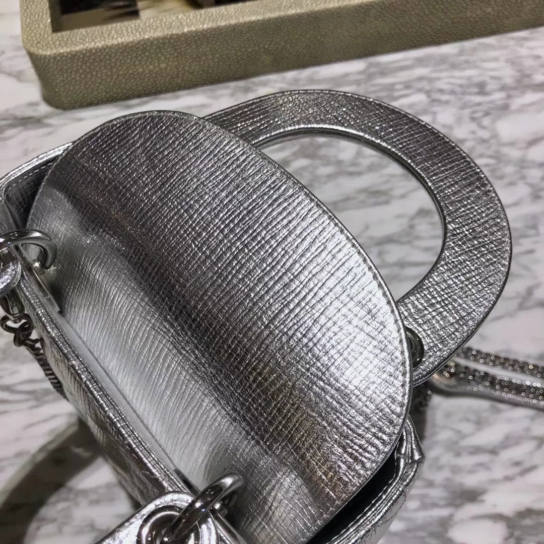 Dior 迪奥 来自意大利原厂皮料 牛皮大象纹 金属银 实物绝对美到爆  银扣