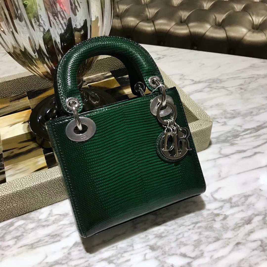 蜥蜴皮Dior 迪奥 戴妃包 新款来袭 蜥蜴皮渐变色 18K真金电镀五金 保五年不掉色