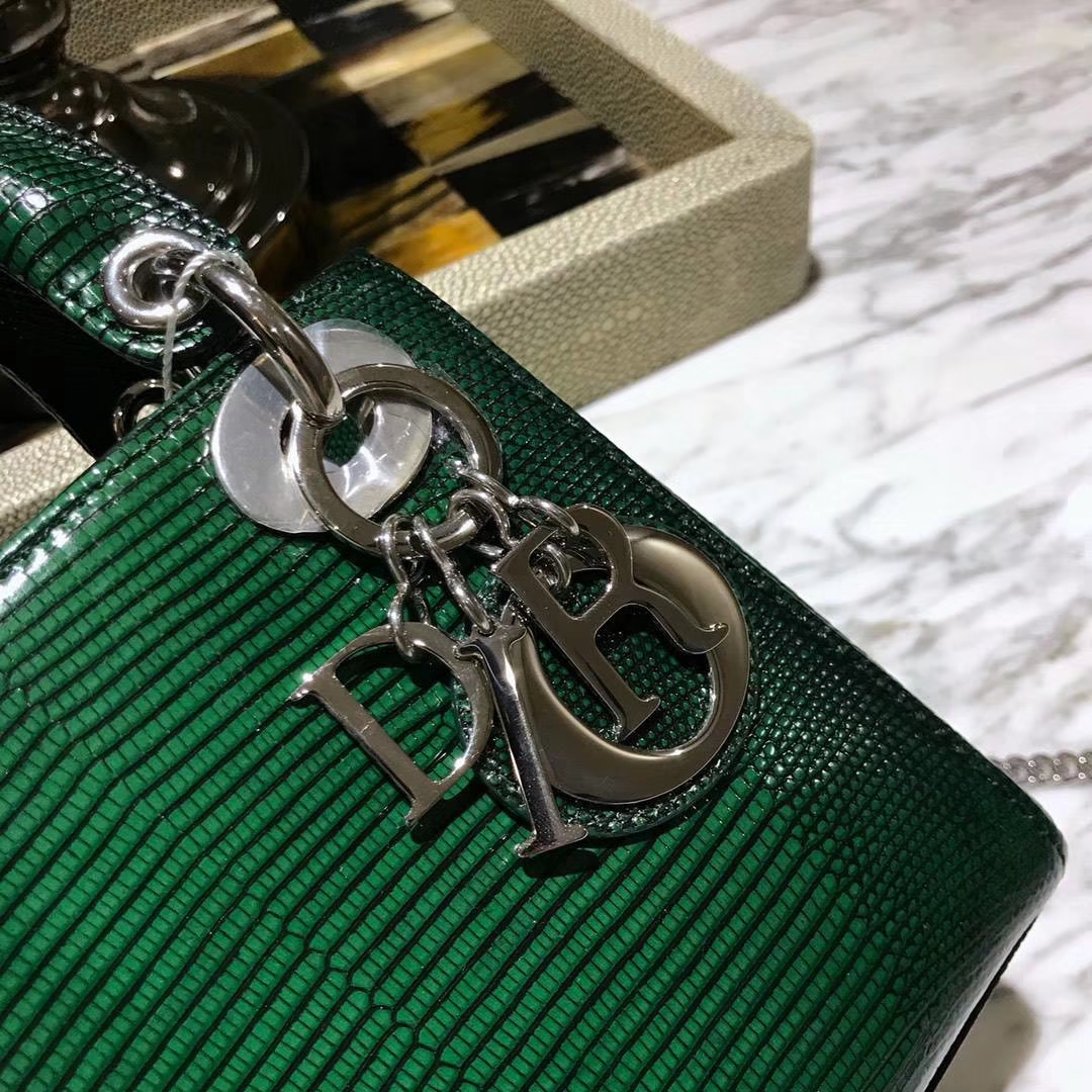 蜥蜴皮Dior 迪奥 戴妃包 新款来袭 蜥蜴皮渐变色 18K真金电镀五金 保五年不掉色