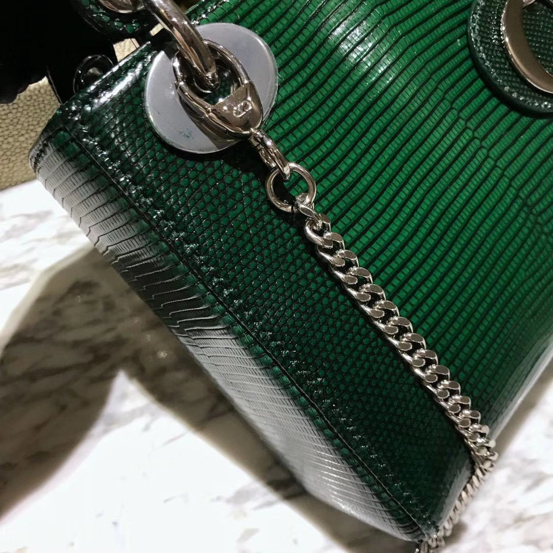 蜥蜴皮Dior 迪奥 戴妃包 新款来袭 蜥蜴皮渐变色 18K真金电镀五金 保五年不掉色