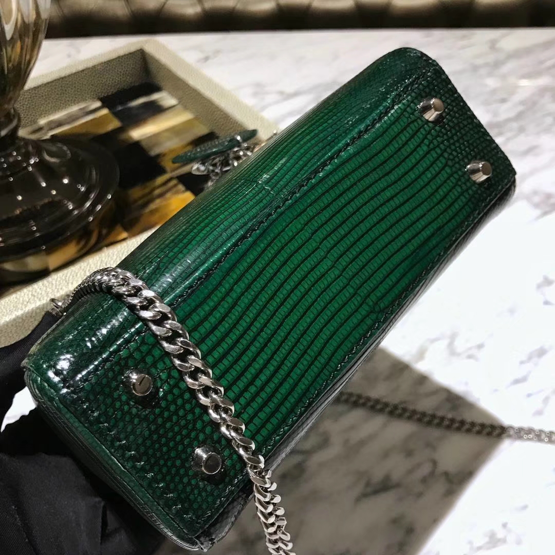 蜥蜴皮Dior 迪奥 戴妃包 新款来袭 蜥蜴皮渐变色 18K真金电镀五金 保五年不掉色