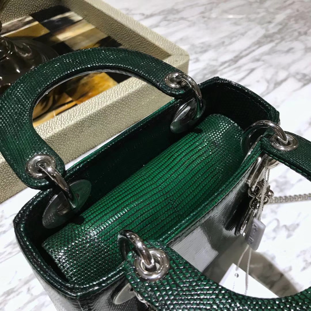 蜥蜴皮Dior 迪奥 戴妃包 新款来袭 蜥蜴皮渐变色 18K真金电镀五金 保五年不掉色
