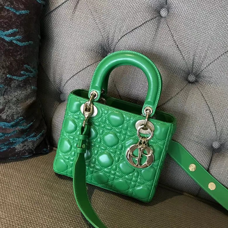 Dior 迪奥 戴妃包 Lady Dior 意大利 原厂皮 双色效果 女包市场