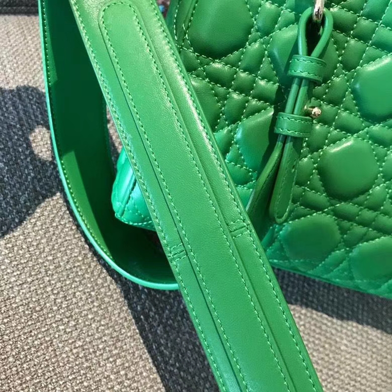 Dior 迪奥 戴妃包 Lady Dior 意大利 原厂皮 双色效果 女包市场
