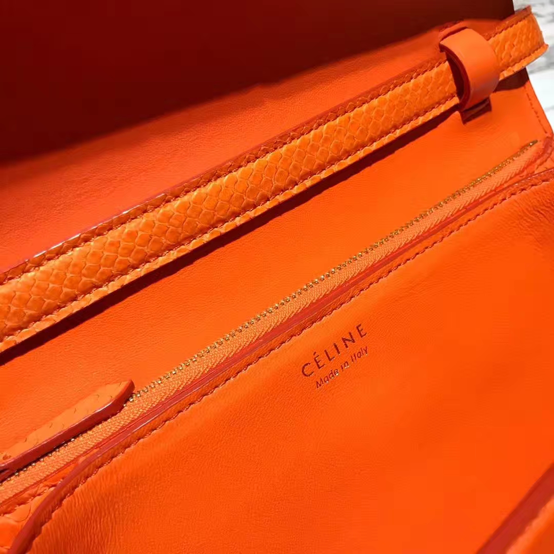 Celine 思琳 box豆腐包 蛇皮经典橙 天后王菲的最爱