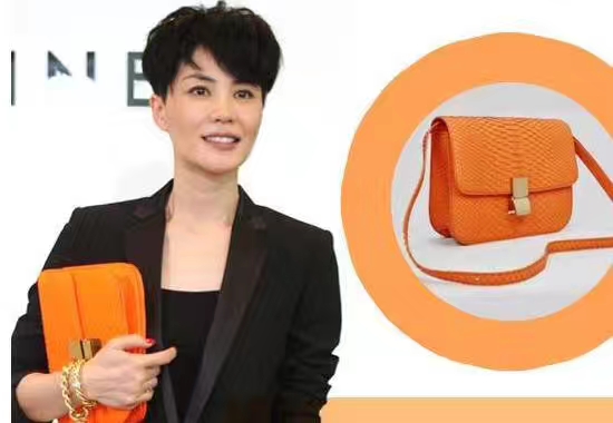 Celine 思琳 box豆腐包 蛇皮经典橙 天后王菲的最爱