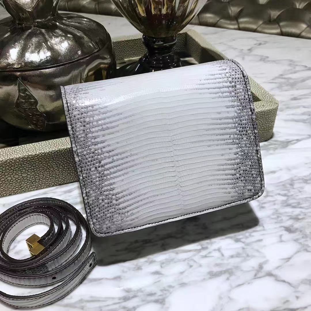 CÉLINE思琳 box 蜥蜴皮 小号16cm原花色