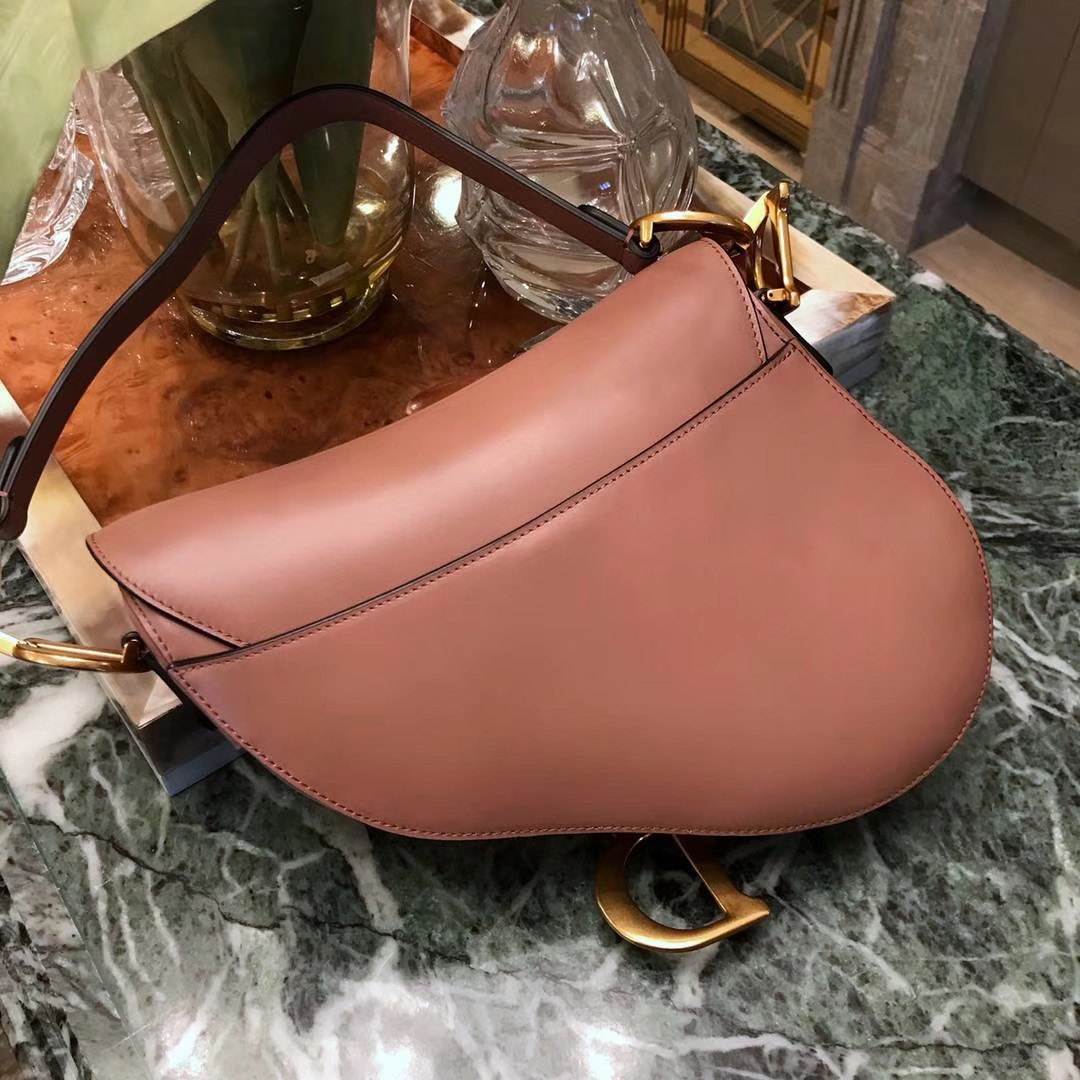 Dior 马鞍包 完美出品 市场最高版本 龙虾粉