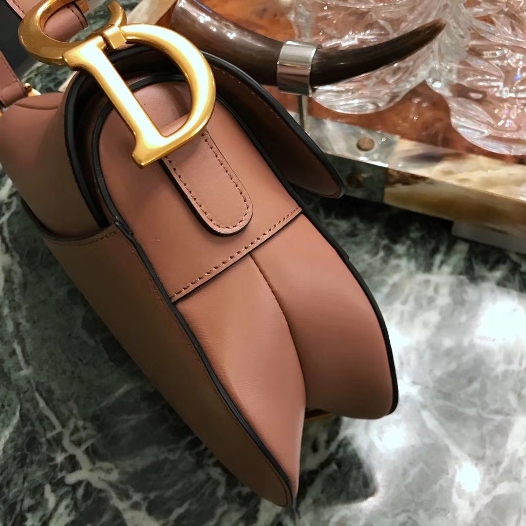 Dior 马鞍包 完美出品 市场最高版本 龙虾粉