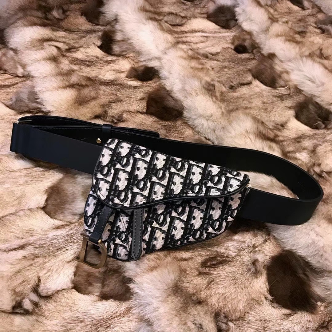 Dior 新款腰包 老花布纹 进口头层皮 小巧实用款