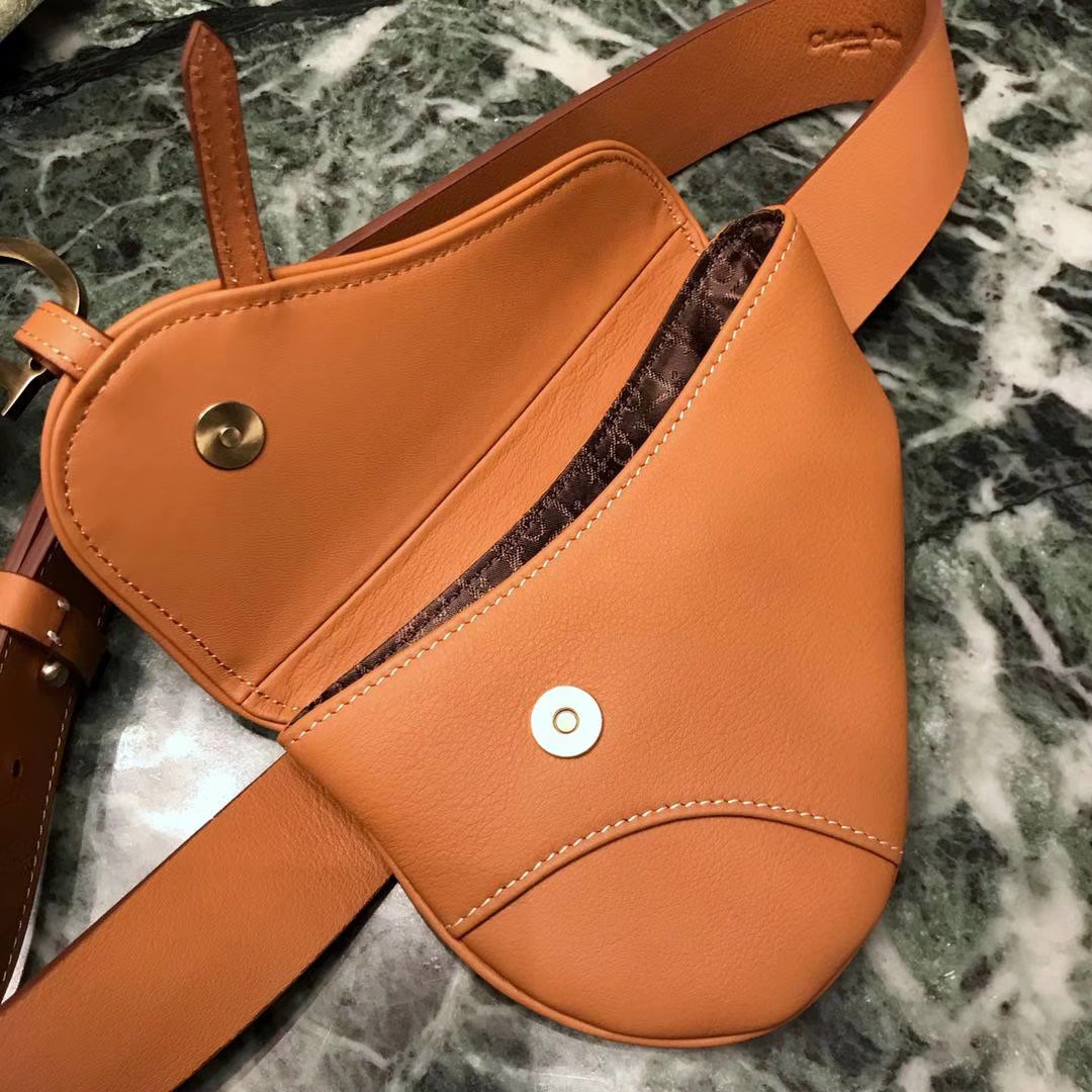 Dior 新款腰包 金棕色 进口头层皮 小巧实用款