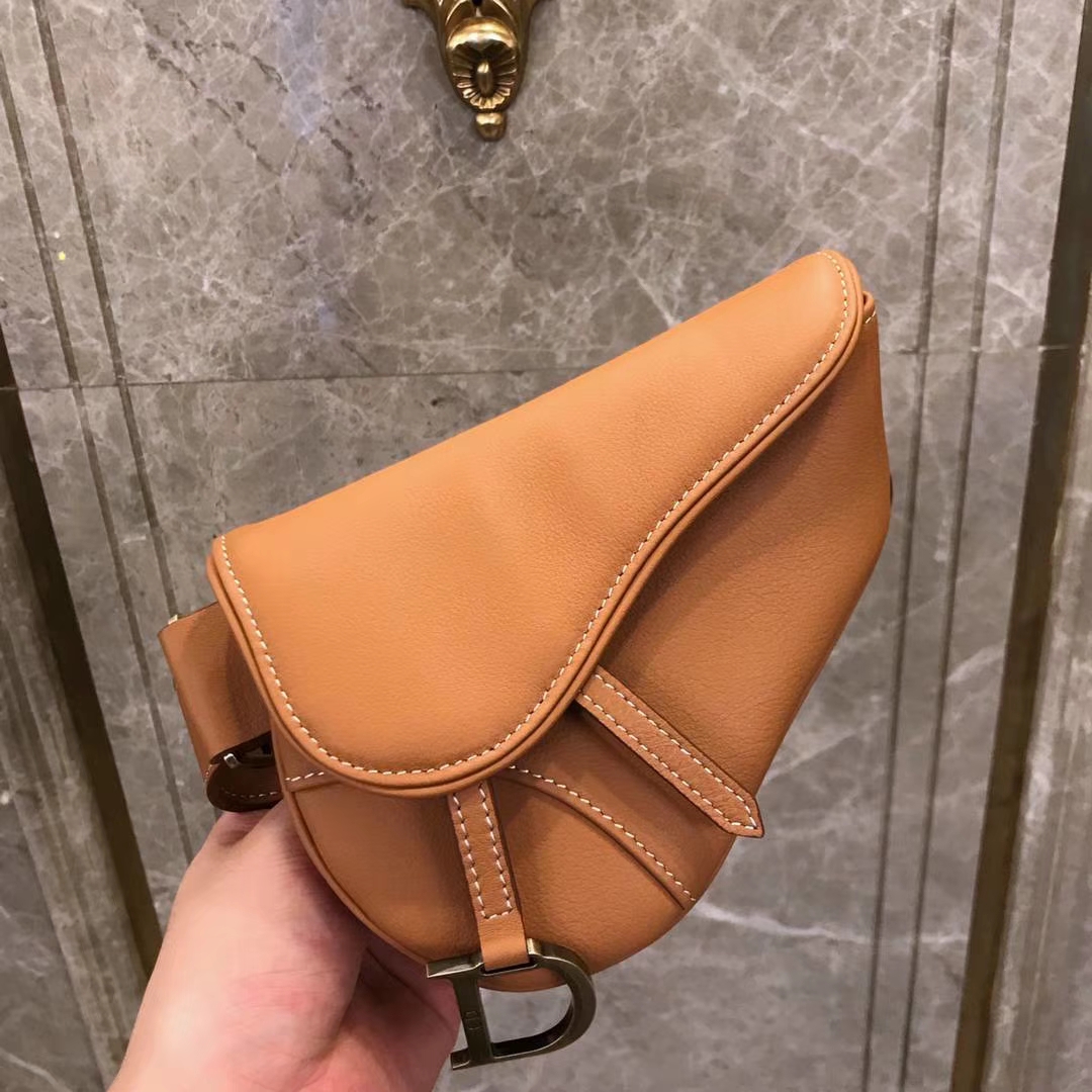 Dior 新款腰包 金棕色 进口头层皮 小巧实用款
