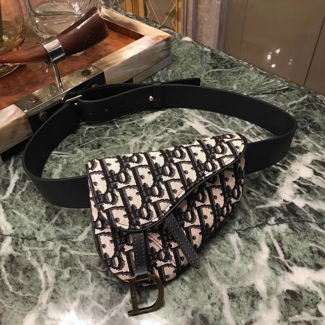 Dior 新款腰包 老花布纹 进口头层皮 小巧实用款