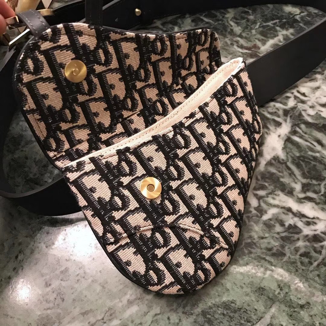 Dior 新款腰包 老花布纹 进口头层皮 小巧实用款