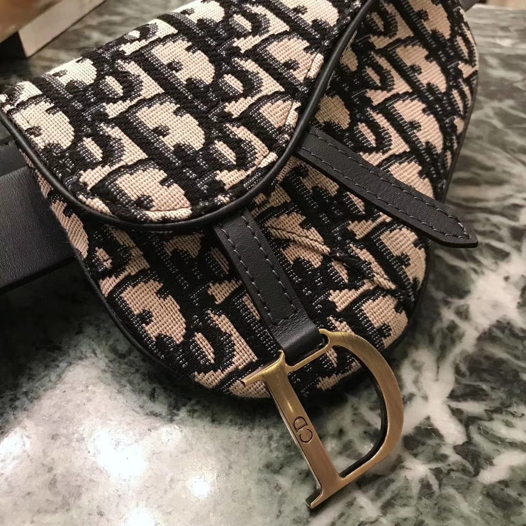 Dior 新款腰包 老花布纹 进口头层皮 小巧实用款
