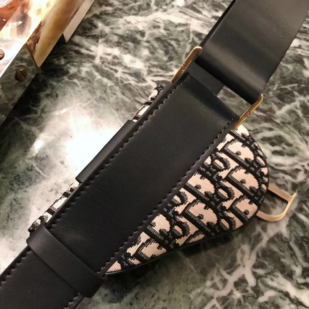 Dior 新款腰包 老花布纹 进口头层皮 小巧实用款