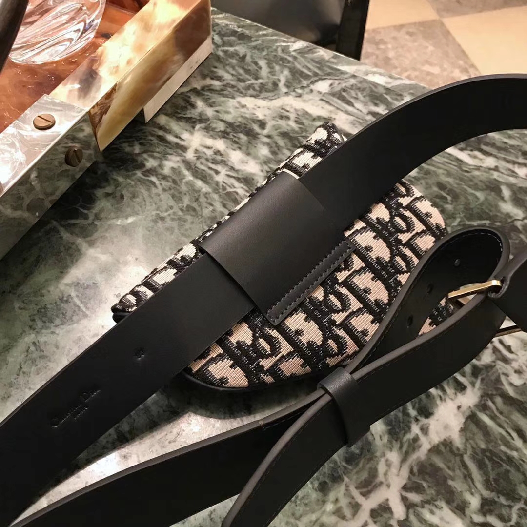 Dior 新款腰包 老花布纹 进口头层皮 小巧实用款