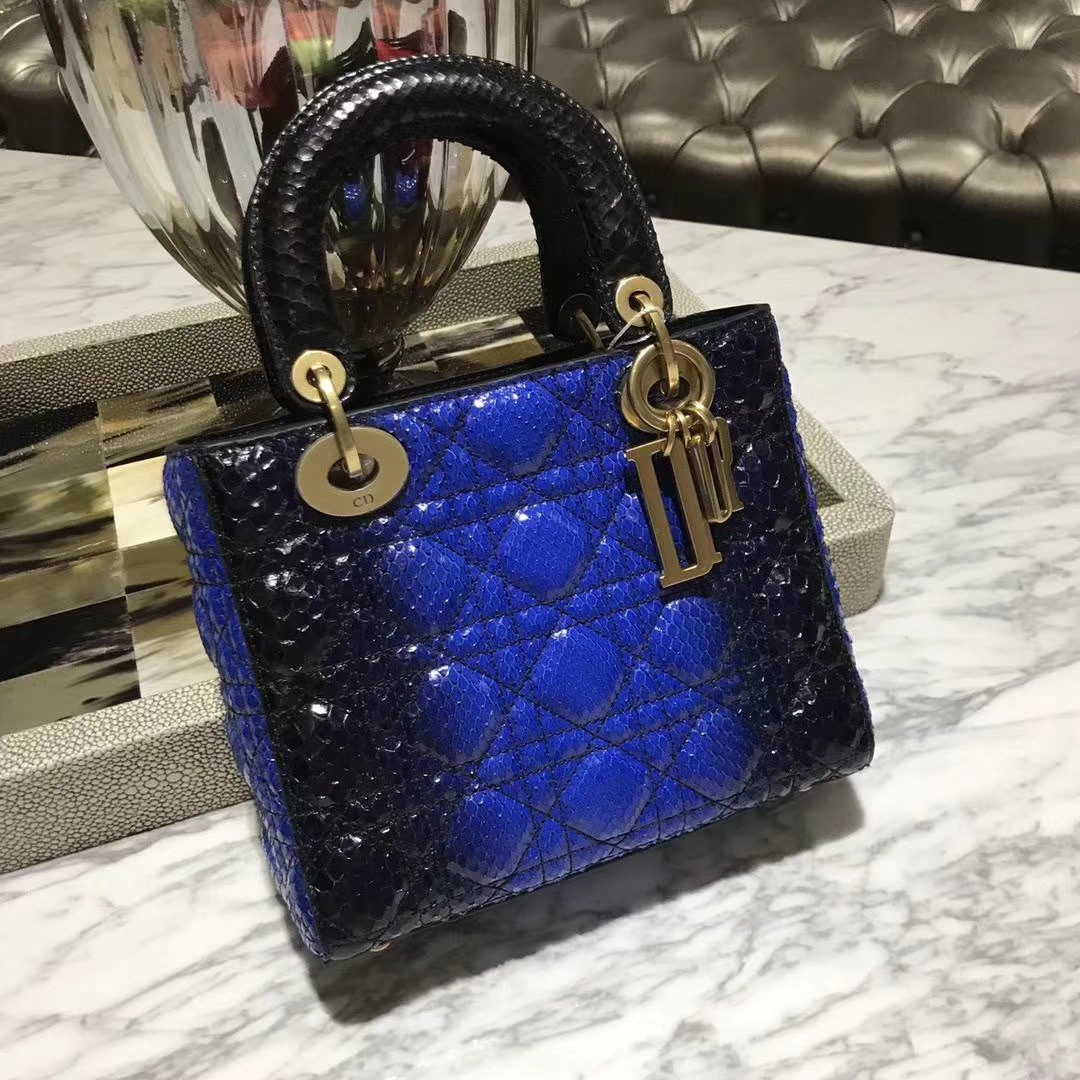 Dior 迪奥 蟒蛇皮戴妃包  真正的蟒蛇皮制作  选用印尼蛇皮 质感  个性