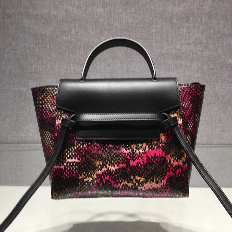 珍稀澳州蛇皮 celine鲶鱼包 大27cm 中24cm 进口蛇皮配以复古精钢五金