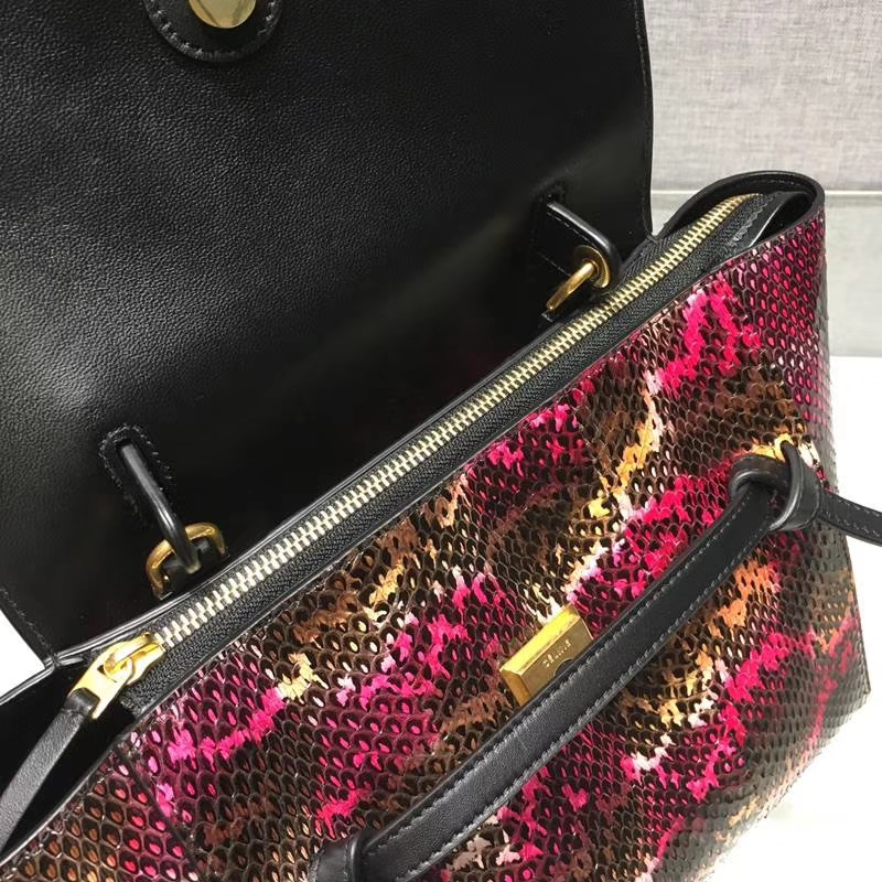 珍稀澳州蛇皮 celine鲶鱼包 大27cm 中24cm 进口蛇皮配以复古精钢五金