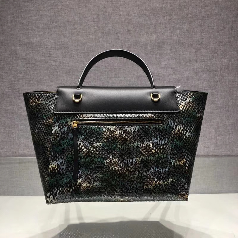珍稀澳州蛇皮 celine鲶鱼包 大27cm 中24cm 进口蛇皮配以复古精钢五金