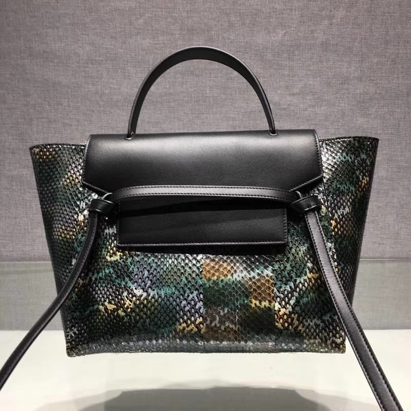 珍稀澳州蛇皮 celine鲶鱼包 大27cm 中24cm 进口蛇皮配以复古精钢五金