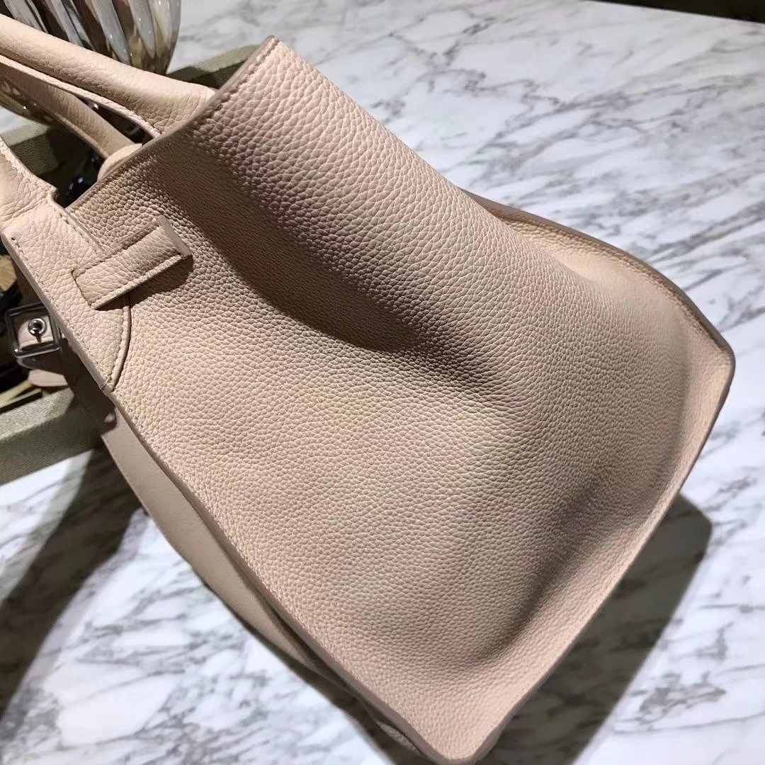 CÉLINE  购物袋   专柜同步发售  中号  24x26x22cm  裸粉色
