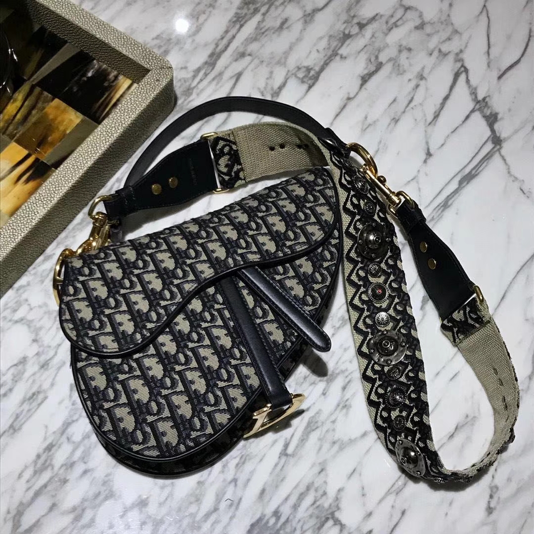 Dior 迪奥 全球风靡 马鞍包 上身很漂亮 时尚潮流的风向标